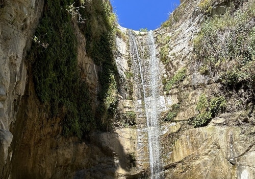 The Ultimate Guide to Choosing the Best Tujunga Mover